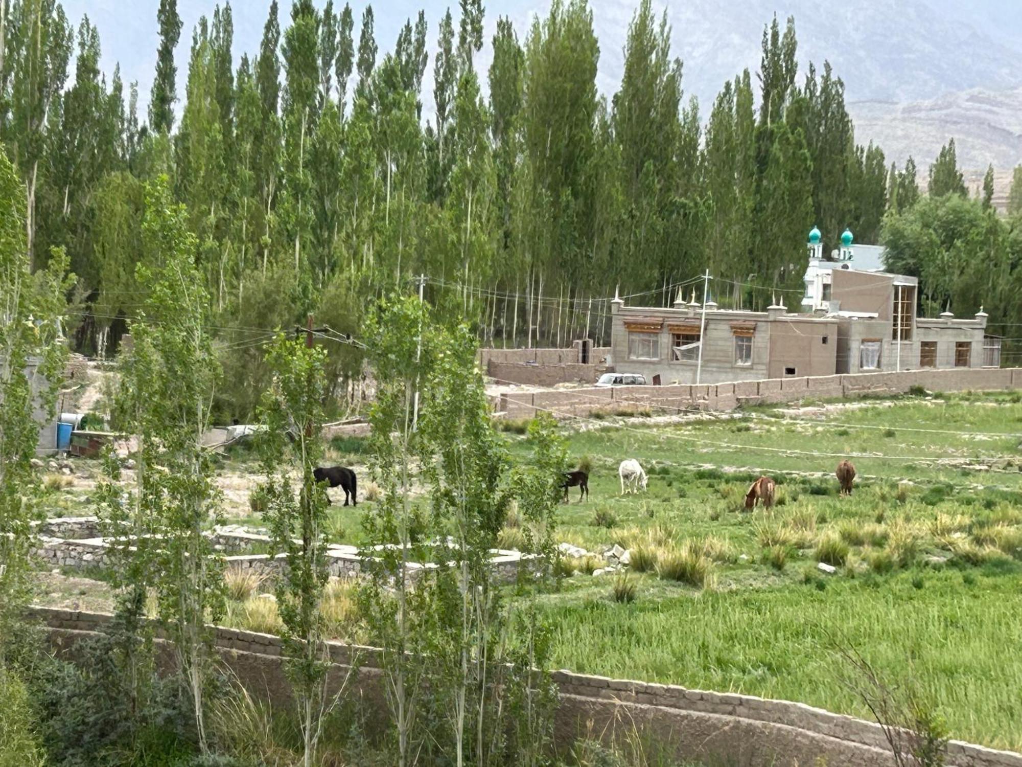 Nature Palace Farmstay She Εξωτερικό φωτογραφία